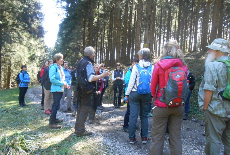 https://www.haustanne.de/wp-content/uploads/2017/03/wanderungen_slide_09_gruppe.jpg