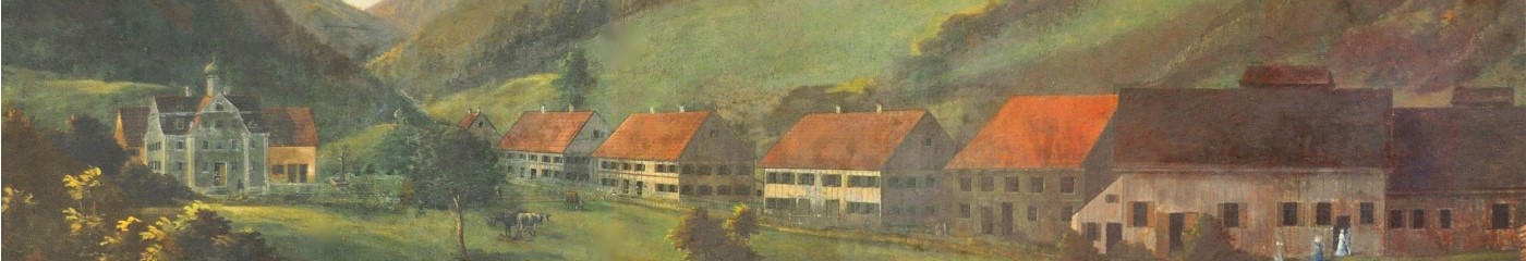 Haus Tanne in Eisenbach